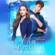 Постер книги Мне запретили тебя любить
