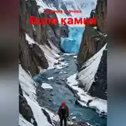 Постер книги Воля камня