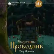 Постер книги Сказочница: провoдник