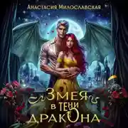 Постер книги Змея в тени дракона