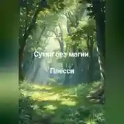 Постер книги Сутки без магии.