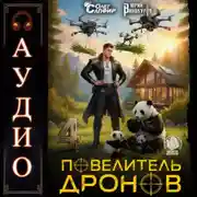 Постер книги Повелитель дронов – 4