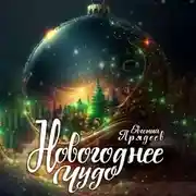 Постер книги Новогоднее чудо