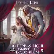 Постер книги (Не) первая ночь с эльфийским Чудовищем