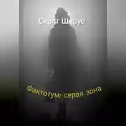 Постер книги Фактотум: серая зона