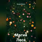 Постер книги Магия Леса