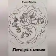 Постер книги Летящая с котами