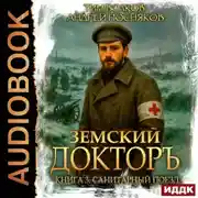 Постер книги Земский докторъ. Книга 3. Санитарный поезд