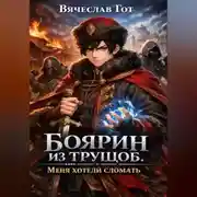 Постер книги Боярин из трущоб. Меня хотели сломать