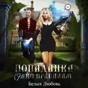 Постер книги Попаданка (не) по правилам