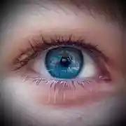 Постер книги Философия. Жизнь: как она есть.