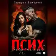 Постер книги Псих. Заберу тебя себе