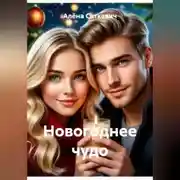 Постер книги Новогоднее чудо