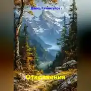 Постер книги Откровения