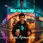 Постер книги Маг по вызову