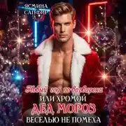 Постер книги Новый год по-варварски, или Хромой Дед Мороз веселью не помеха
