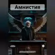 Постер книги Амнистия