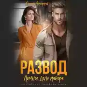 Постер книги Развод. Личное дело майора Шахрова