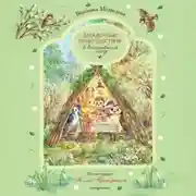 Постер книги Загадочные происшествия в волшебном лесу