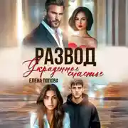 Постер книги Развод. Украденное счастье