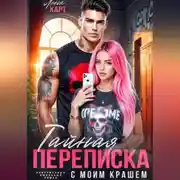 Постер книги Тайная переписка с моим крашем