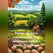 Постер книги Район особого назначения. Как чиновник район с колен поднимал