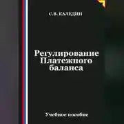 Постер книги Регулирование Платежного баланса