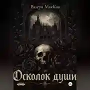 Постер книги Осколок души