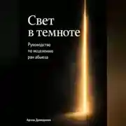 Постер книги Свет в темноте: Руководство по исцелению ран абьюза