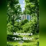 Постер книги Методика «Эко-балл»