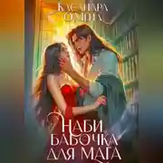 Постер книги Наби, бабочка для мага