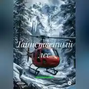 Постер книги Таинственный лес