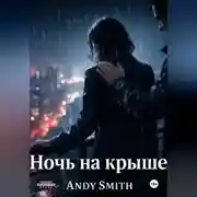 Постер книги Ночь на крыше