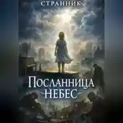 Постер книги Посланница небес
