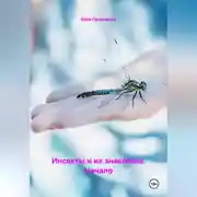 Постер книги Инсекты и их знакомые. Начало.