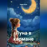 Постер книги Луна в кармане
