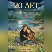 Постер книги 20 лет