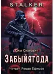 Сим Симович - S.T.A.L.K.E.R. Забыйягода