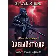 Постер книги S.T.A.L.K.E.R. Забыйягода