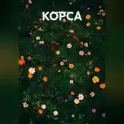 Постер книги КОРСА