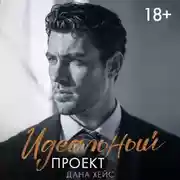 Постер книги Идеальный проект