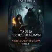 Постер книги Тайна последней ведьмы и Хозяина черного бора (Часть 1)