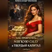 Постер книги Как превратить мягкую силу в твердый капитал (Часть 1)