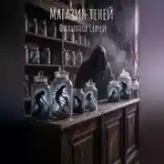 Постер книги Магазин теней