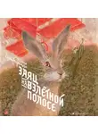 Юлия Симбирская - Заяц на взлётной полосе