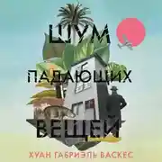 Постер книги Шум падающих вещей
