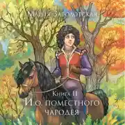 Постер книги И.о. поместного чародея. Книга 2