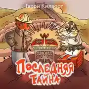 Постер книги Последняя тайна