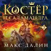 Постер книги Костер и Саламандра. Книга 3