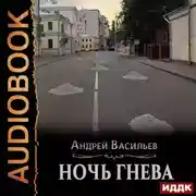 Постер книги Ночь гнева